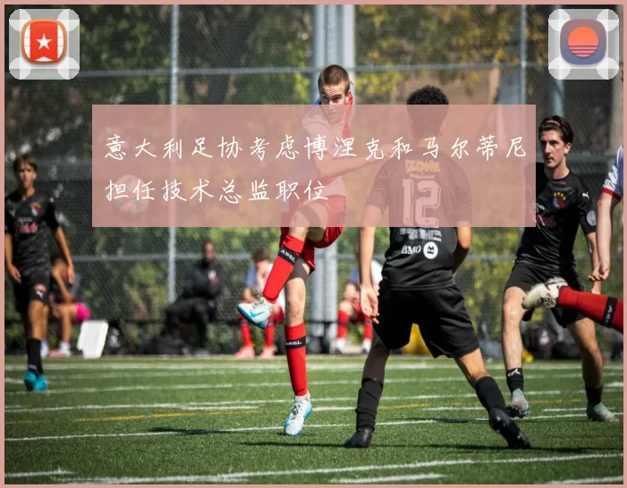 意大利足协考虑博涅克和马尔蒂尼担任技术总监职位