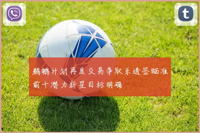 鹈鹕计划再度交易争取乐透签瞄准前十潜力新星目标明确