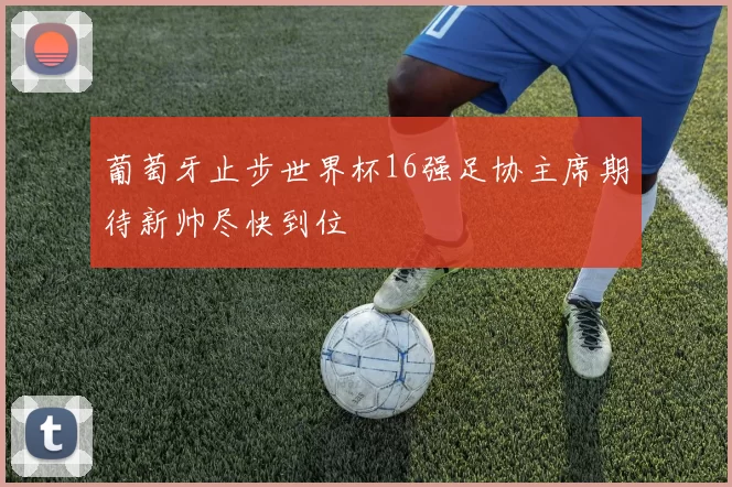 葡萄牙止步世界杯16强足协主席期待新帅尽快到位