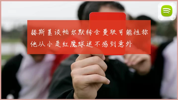 赫斯基谈帕尔默转会曼联可能性称他从小是红魔球迷不感到意外